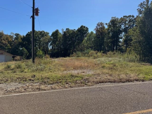 4280 Powell Chapel Road Middleton, TN 38052 - Photo 12 of 12 a fire hydrant in the middle of a field