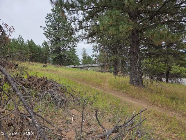 $49,000 | Lot 2 Upper Drive, Osburn, ID 83849