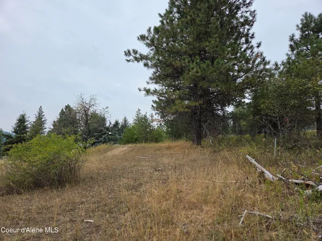 $49,000 | Lot 2 Upper Drive, Osburn, ID 83849