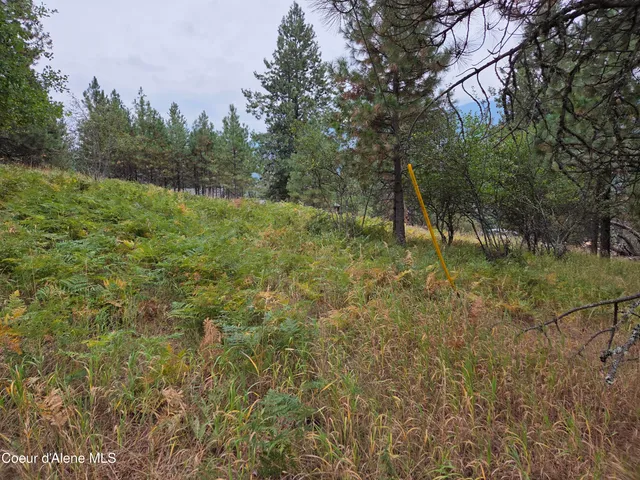 $49,000 | Lot 2 Upper Drive, Osburn, ID 83849