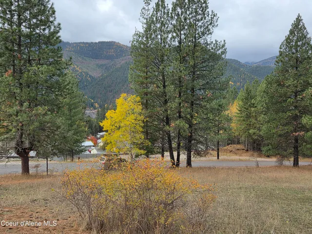 $49,000 | Lot 2 Upper Drive, Osburn, ID 83849