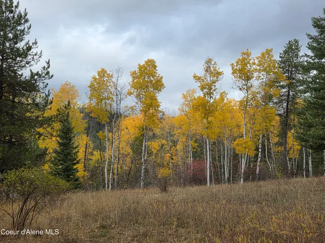 $49,000 | Lot 2 Upper Drive, Osburn, ID 83849