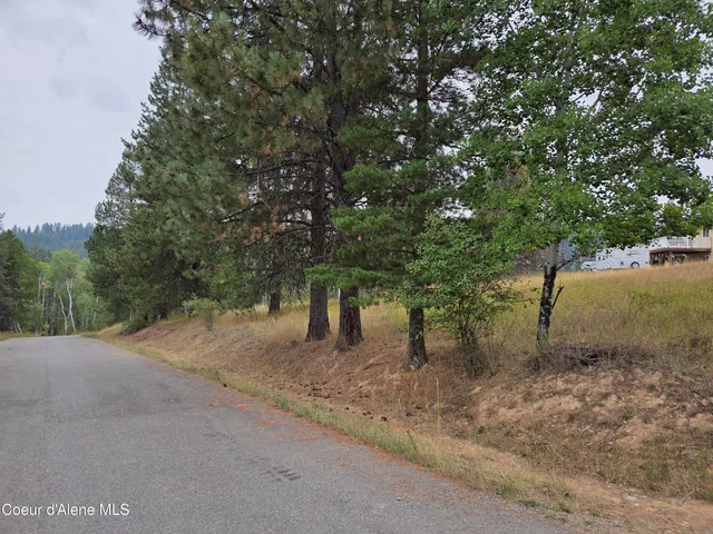 $49,000 | Lot 2 Upper Drive, Osburn, ID 83849