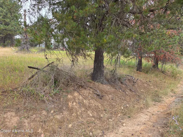 $49,000 | Lot 2 Upper Drive, Osburn, ID 83849