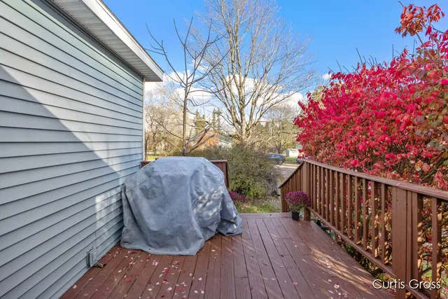 $249,900 | 320 West Pine Street Northeast, Cedar Springs, MI 49319