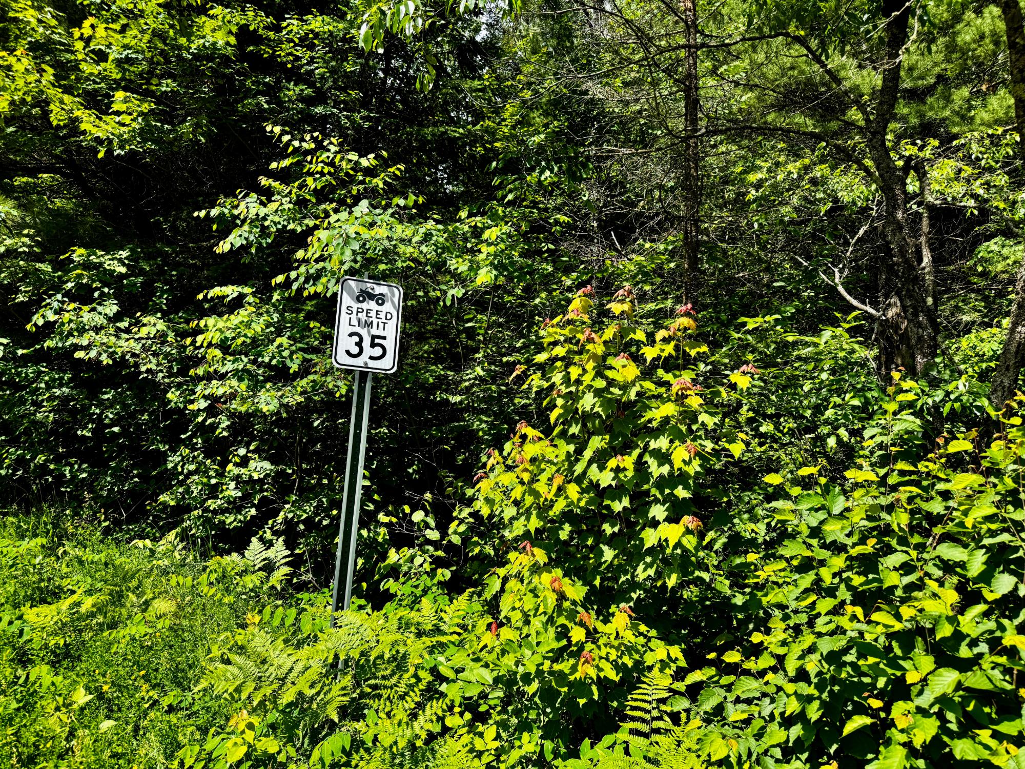 Nine Camp 9 Road Minocqua, WI 54548 - Photo 37 of 37 Gallery Image 37