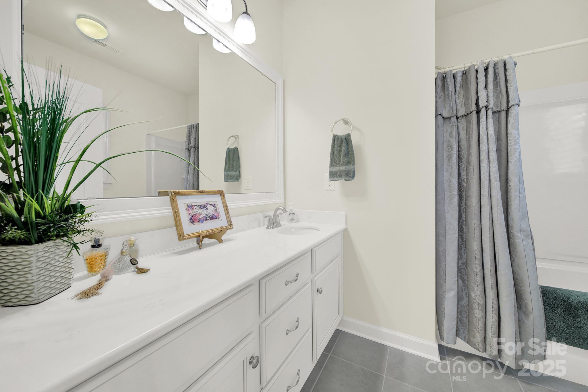 3097 Arches Bluff Circle Lancaster, SC 29720 - Photo 24 of 40 a bathroom with a sink a mirror and a potted plant