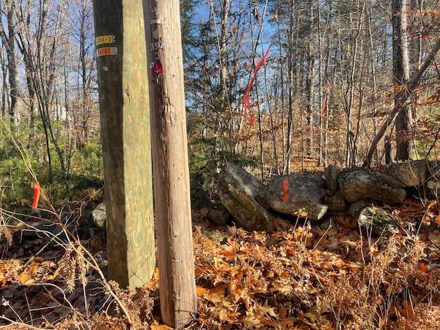 Lot 5 Lyford Road Brookfield, NH 03872 - Photo 2 of 10