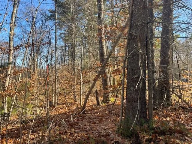 $139,900 | Lot 5 Lyford Road, Brookfield, NH 03872