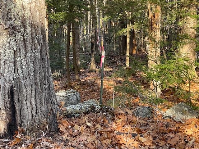 Lot 5 Lyford Road Brookfield, NH 03872 - Photo 7 of 10