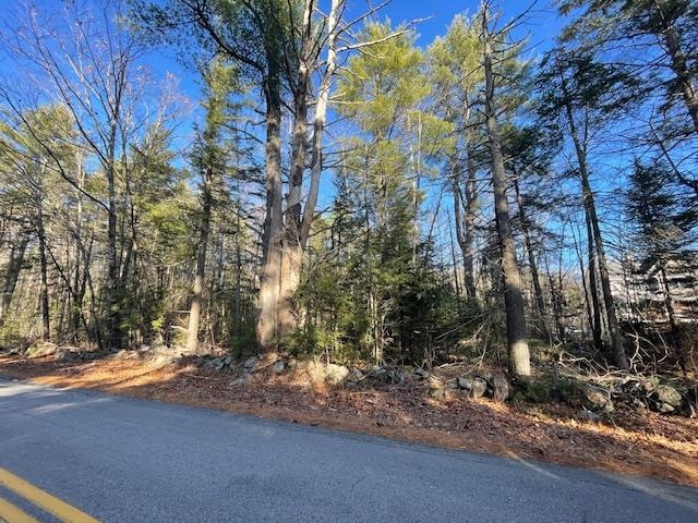 Lot 5 Lyford Road Brookfield, NH 03872 - Photo 9 of 10