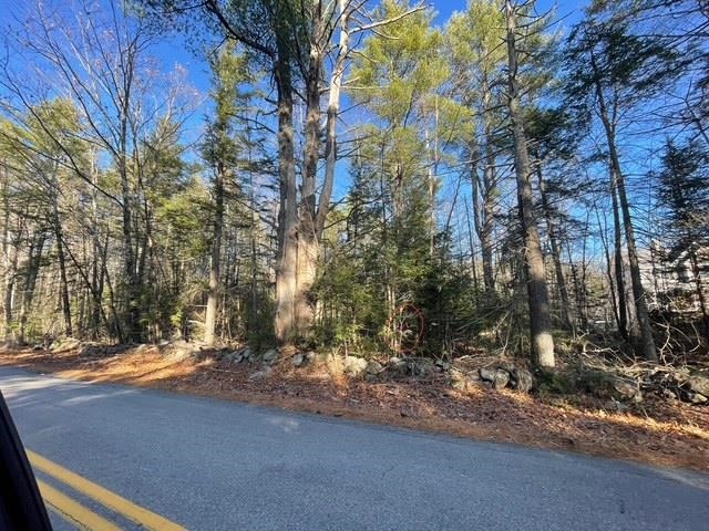 Lot 5 Lyford Road Brookfield, NH 03872 - Photo 10 of 10