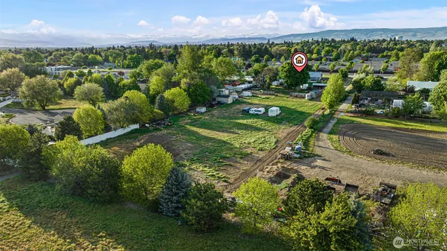 a view of a garden with a lot of plants and a garden