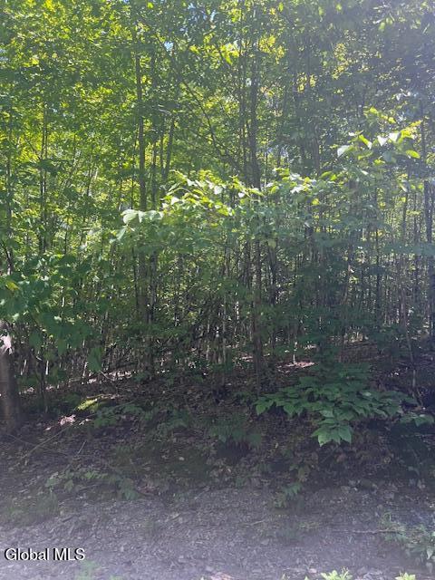 L28 Koster Way Salem, NY 12865 - Photo 16 of 17 IMG_8600