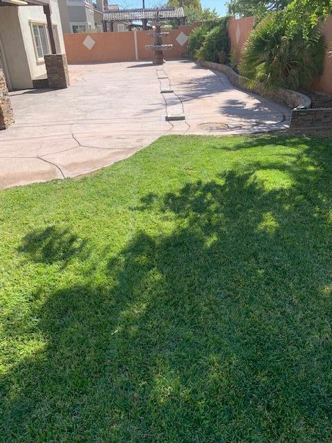 6148 Cecina Place Palmdale, CA 93552 - Photo 9 of 66 a view of a backyard