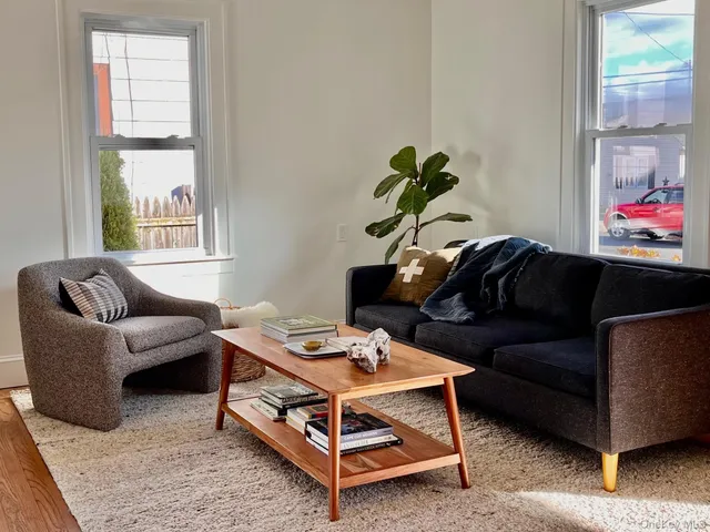 a living room with furniture and a potted plant