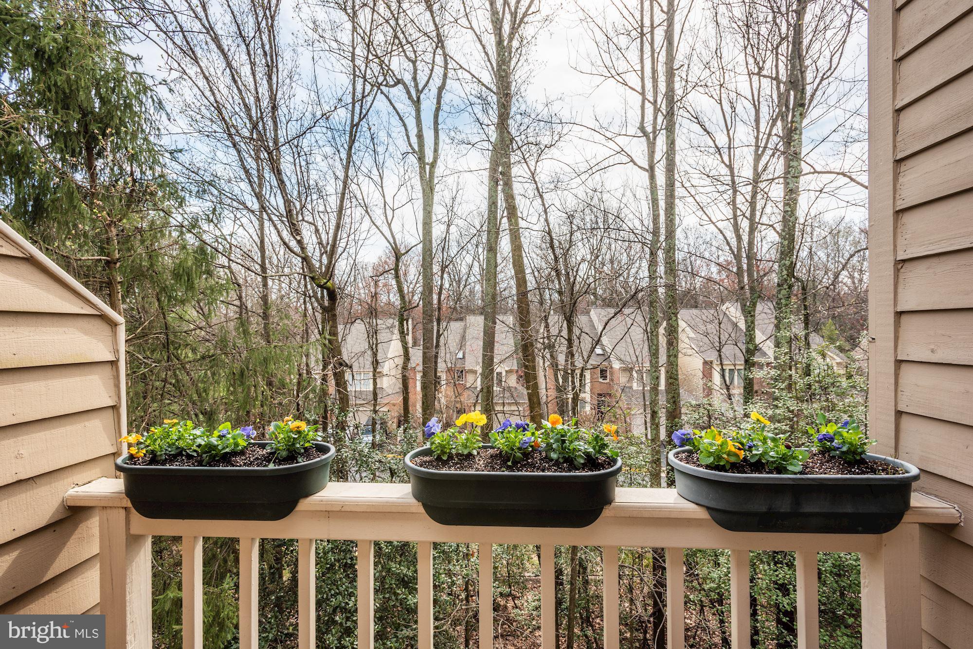 11547 Hemingway Drive Reston, VA 20194 - Photo 18 of 35