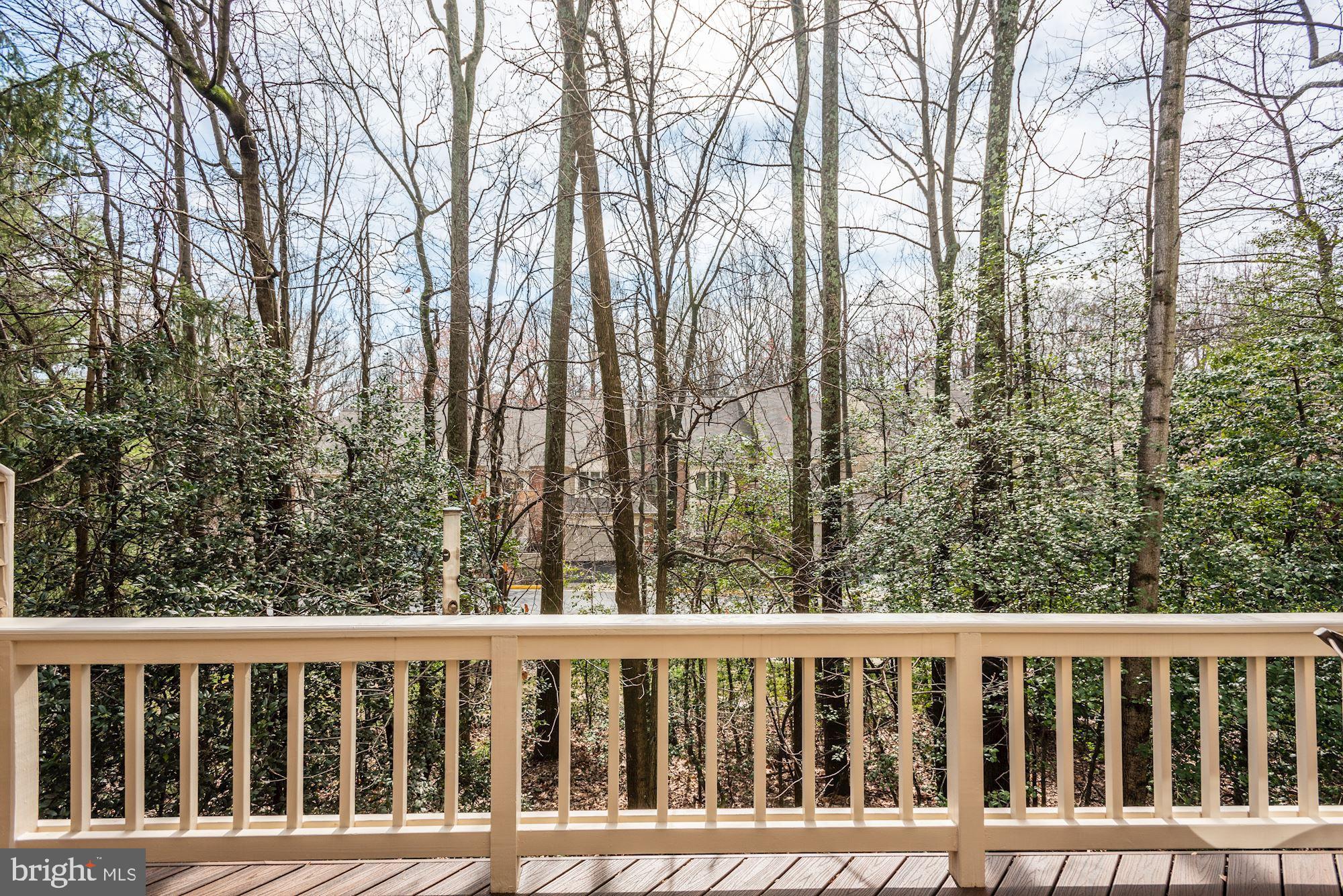 11547 Hemingway Drive Reston, VA 20194 - Photo 33 of 35