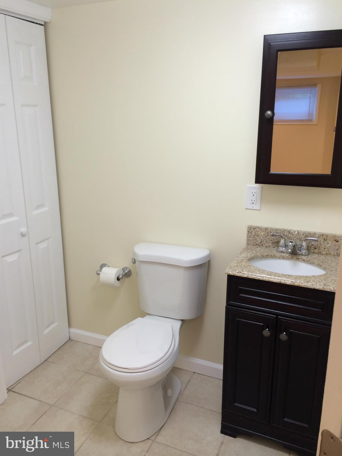 11701 Grandview Avenue Silver Spring, MD 20902 - Photo 28 of 30 New Lower Level Full Bath