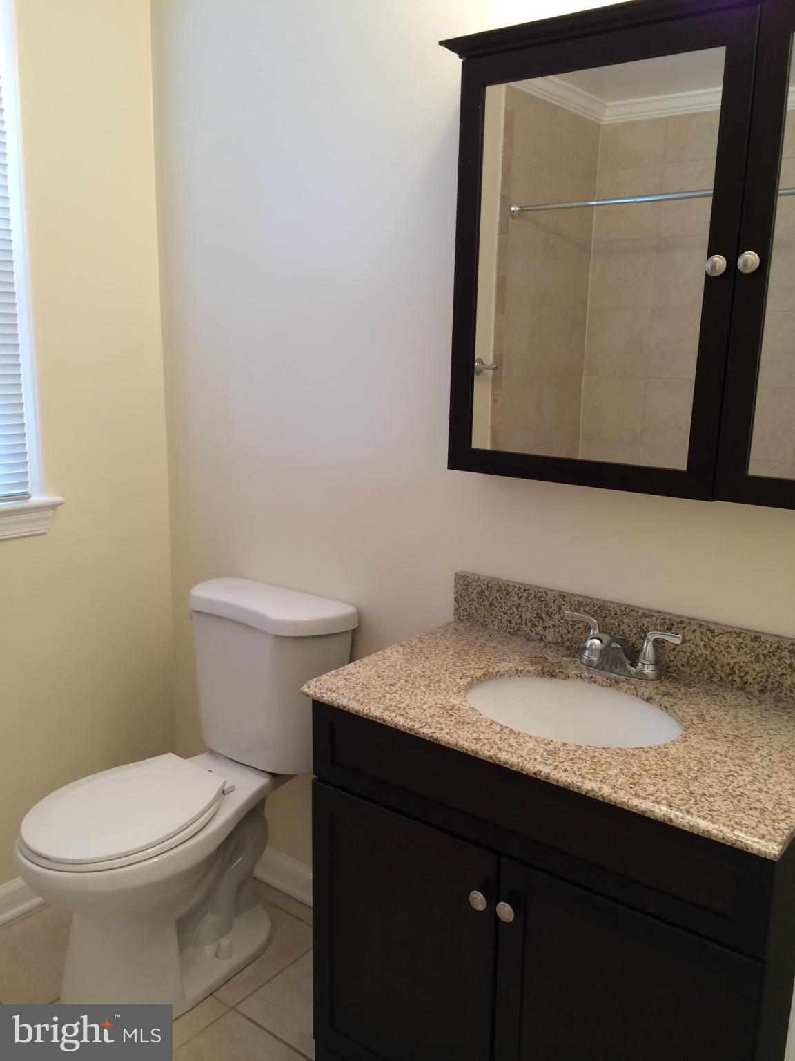 11701 Grandview Avenue Silver Spring, MD 20902 - Photo 4 of 30 New Bath (Master)