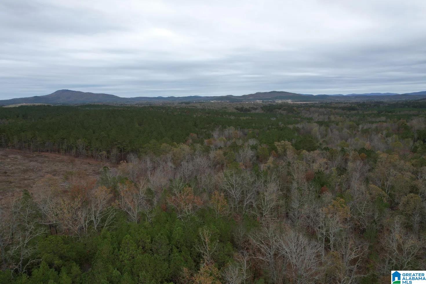 393 Siler Road Piedmont, AL 36272 - Photo 5 of 14