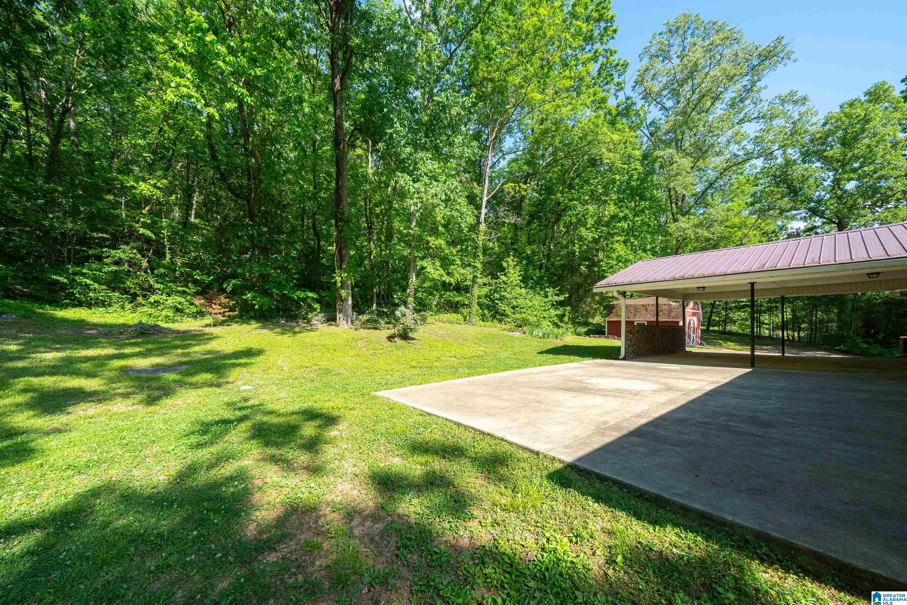 9235 Jade Lake Road East Remlap, AL 35133 - Photo 36 of 48