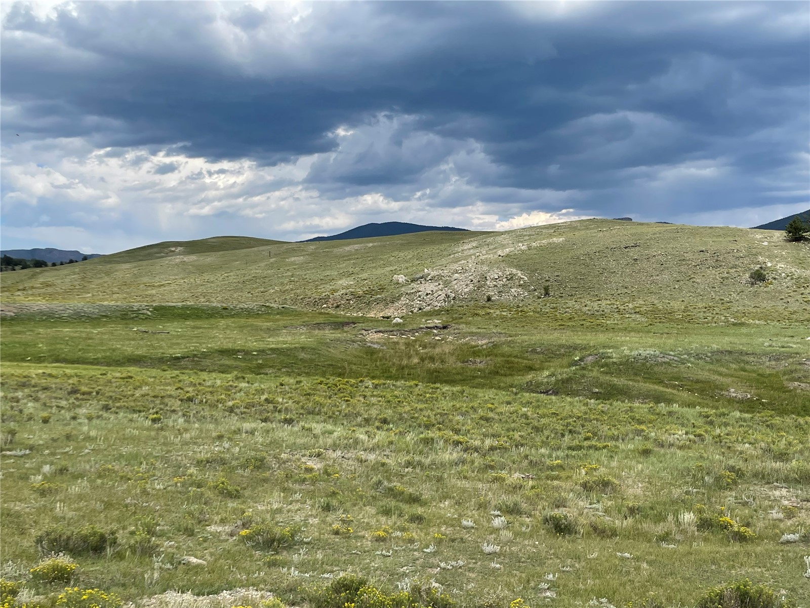 1790 Jackson Road Hartsel, CO 80449 - Photo 9 of 11 Gallery Image 9