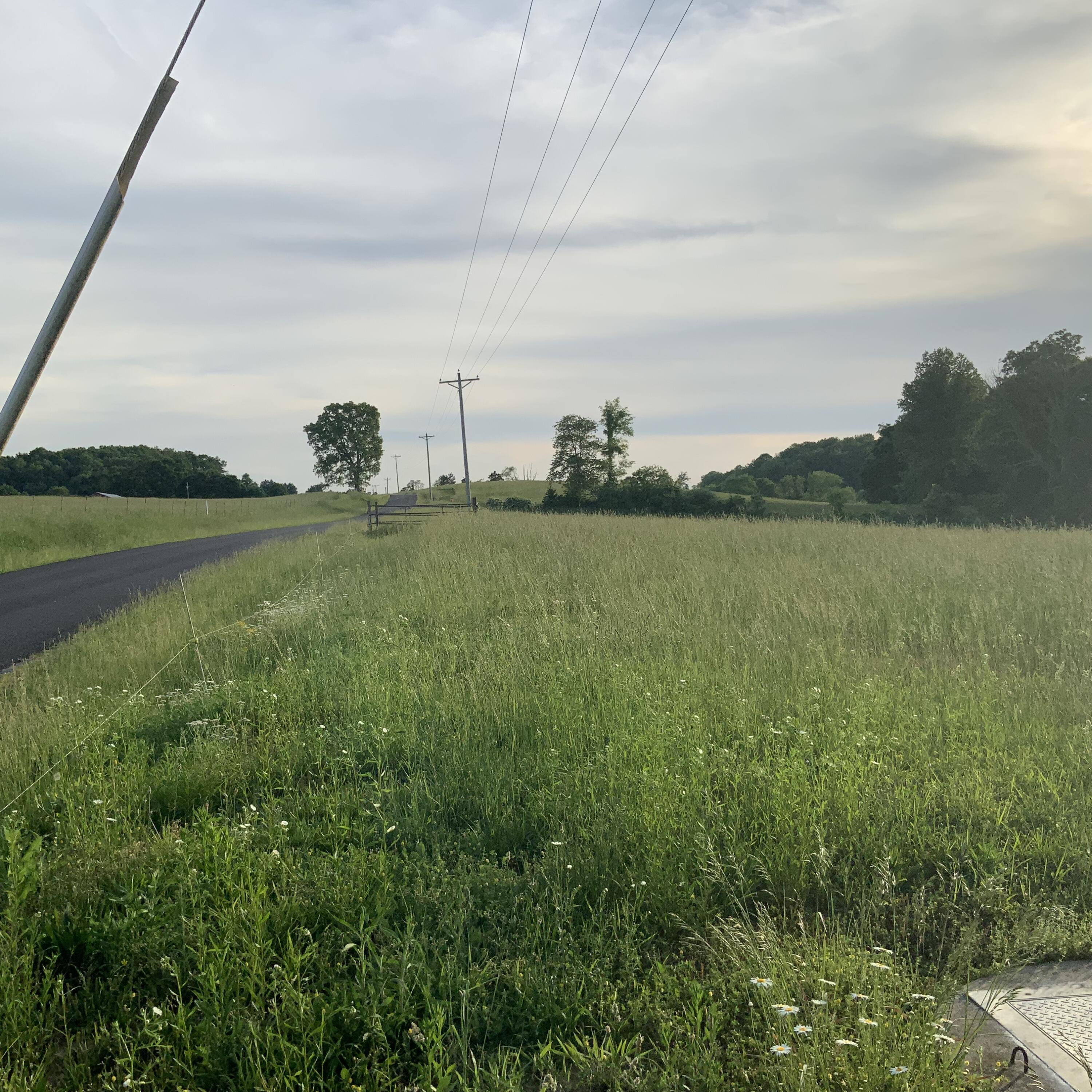 3765 Roberts Port Road Nancy, KY 42544 - Photo 1 of 4 B86E34E3-D6FB-4845-B7AA-F31AA5EABA04