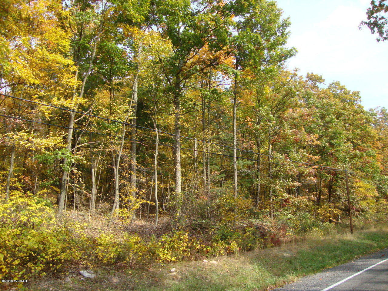 11274 Buffalo Road Mifflinburg, PA 17844 - Photo 3 of 12 Property View