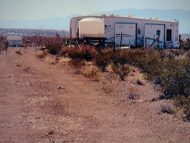 a view of a dry yard with large trees