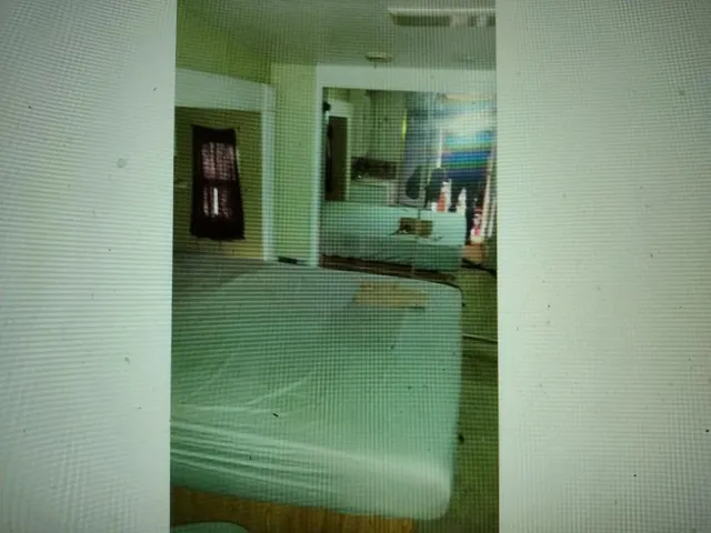 a view of a dry field with trees in background