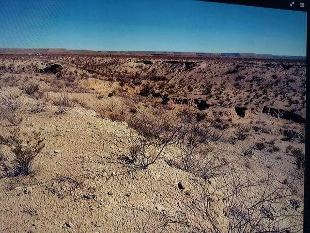 a view of a backyard of the house