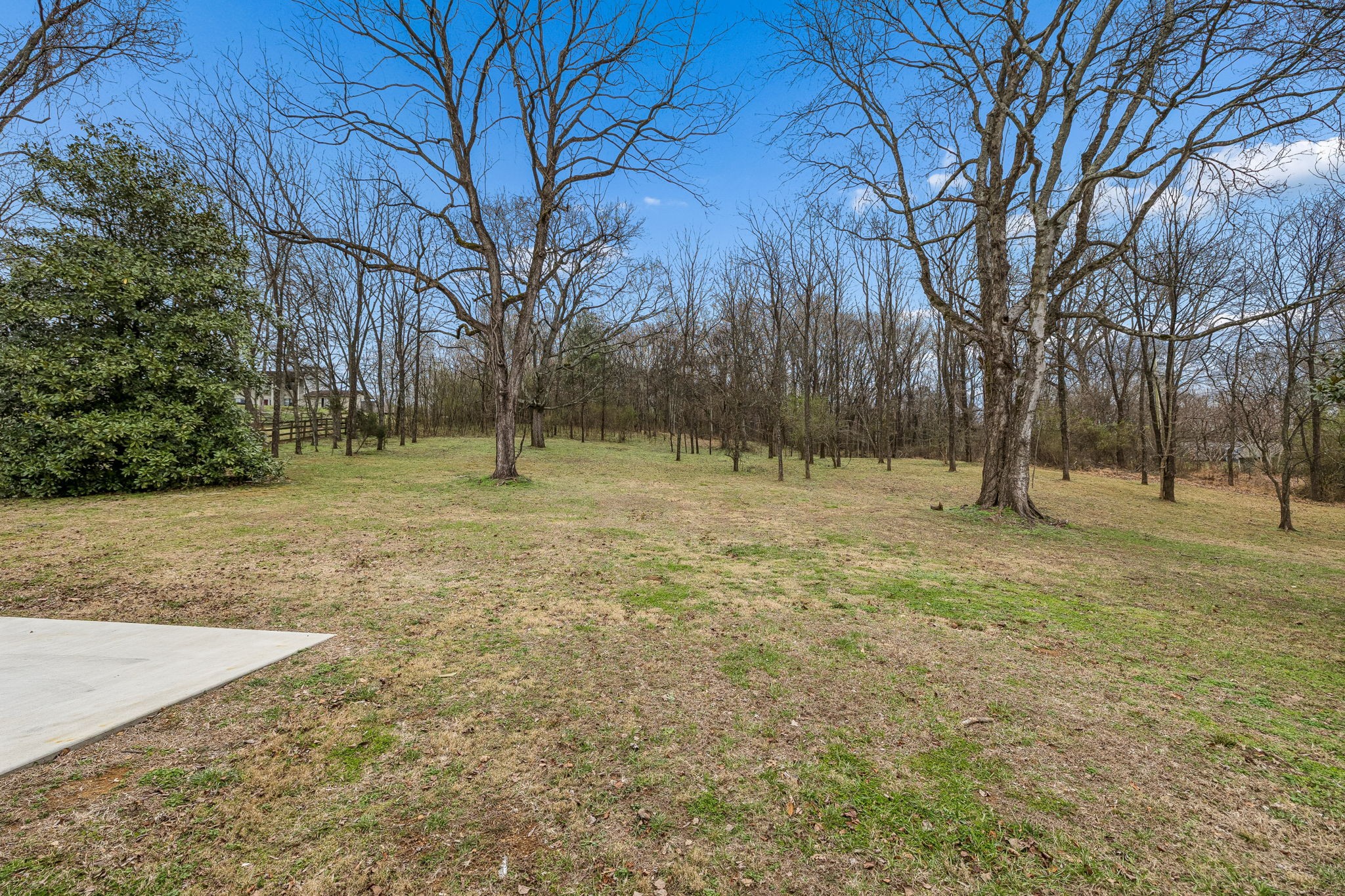 670 North Ridge Road Columbia, TN 38401 - Photo 32 of 45 a view of outdoor space with trees