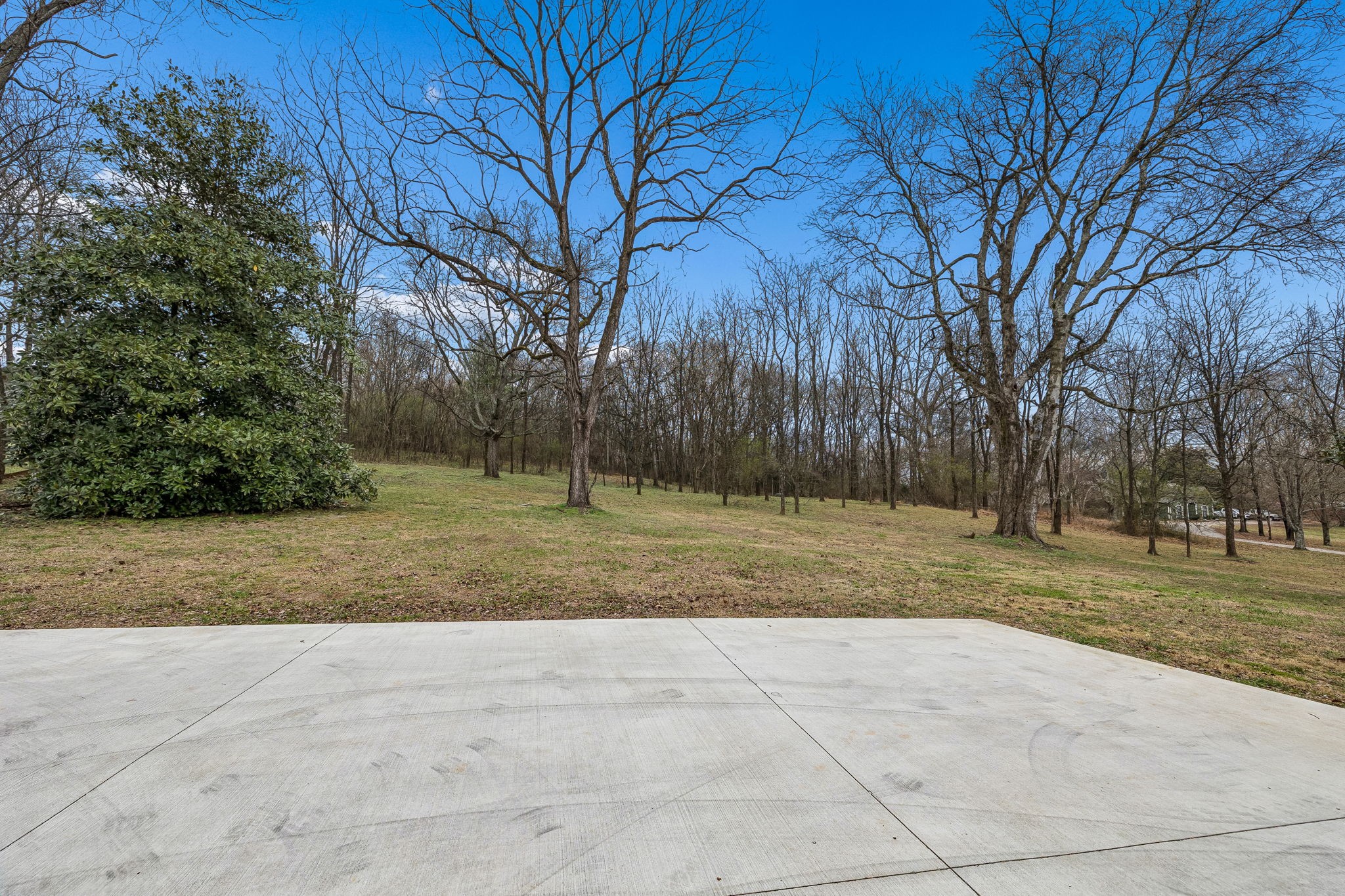 670 North Ridge Road Columbia, TN 38401 - Photo 33 of 45 a view of outdoor space with trees