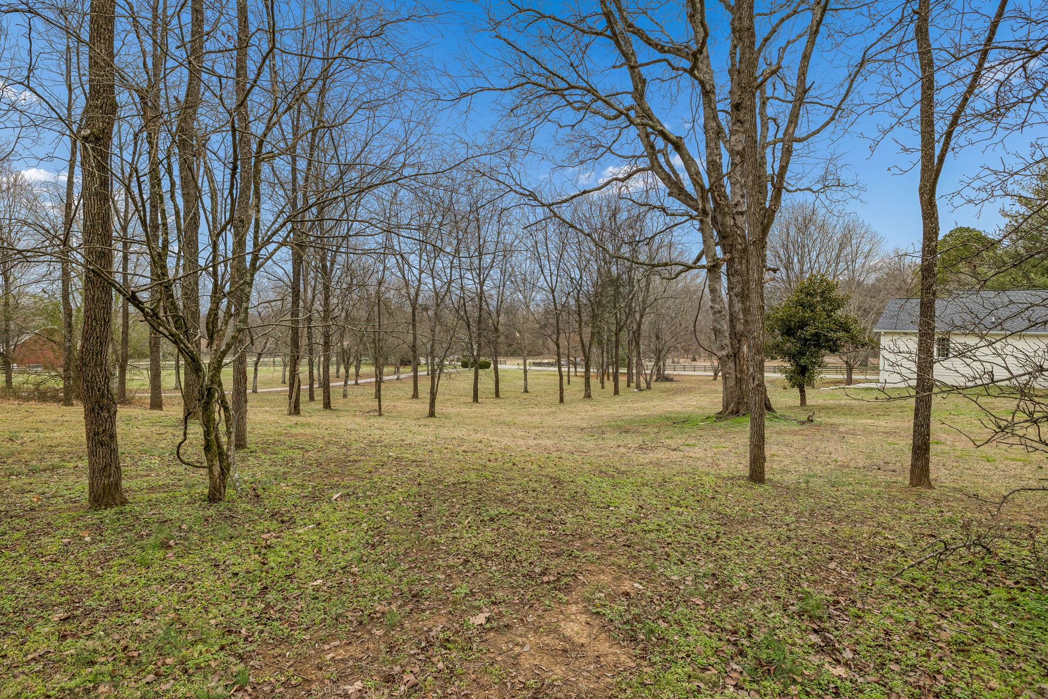 670 North Ridge Road Columbia, TN 38401 - Photo 36 of 45 a view of road with trees