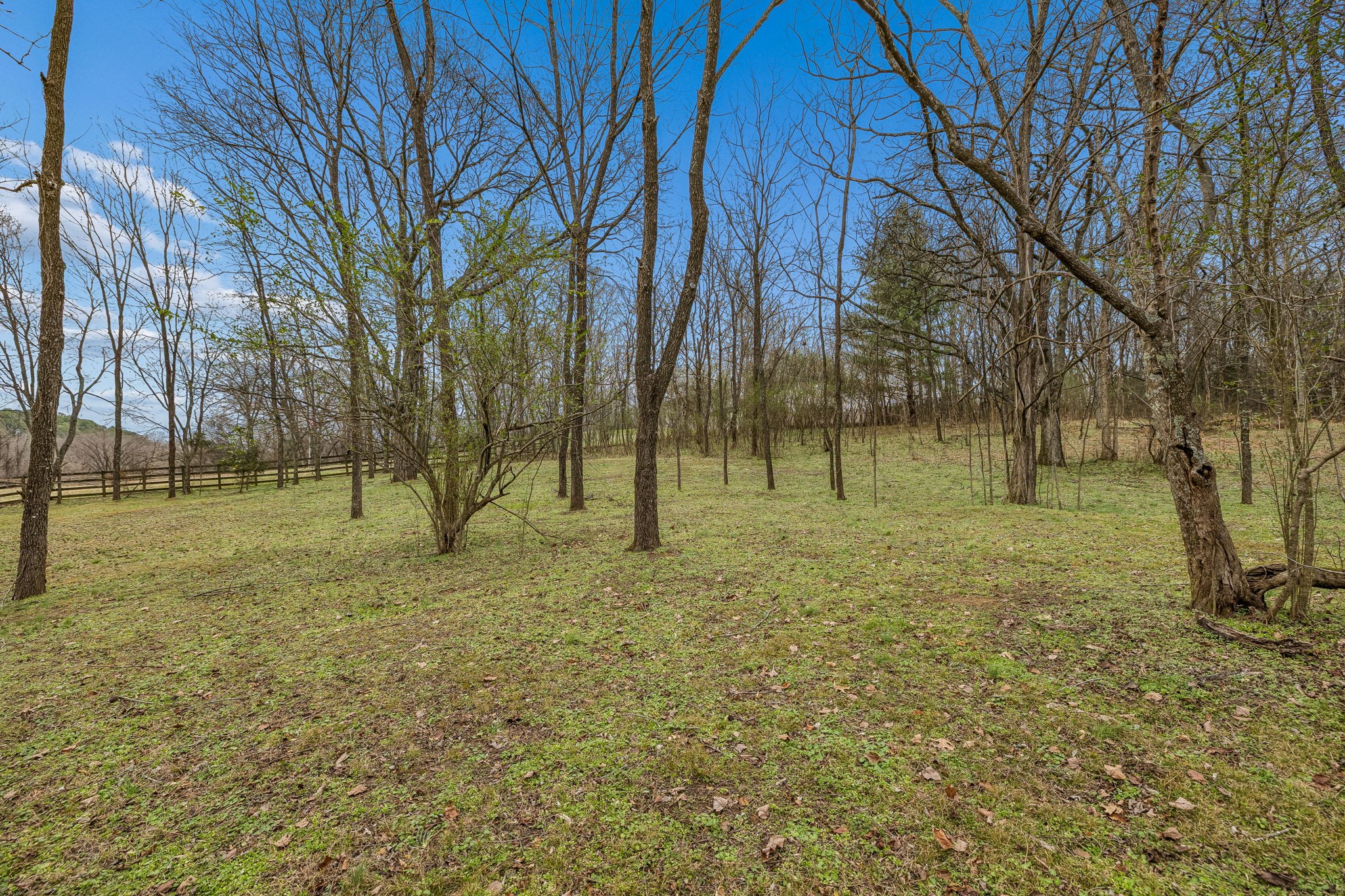 670 North Ridge Road Columbia, TN 38401 - Photo 37 of 45 a view of outdoor space with trees