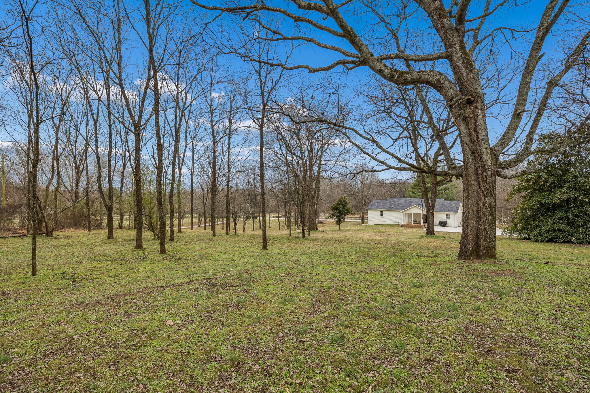 670 North Ridge Road Columbia, TN 38401 - Photo 38 of 45 a big yard with trees