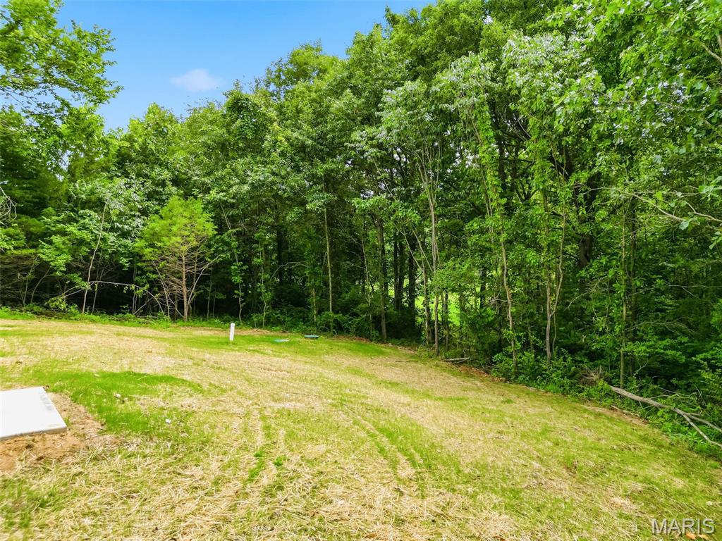 217 Red Mare Road Winfield, MO 63389 - Photo 46 of 59