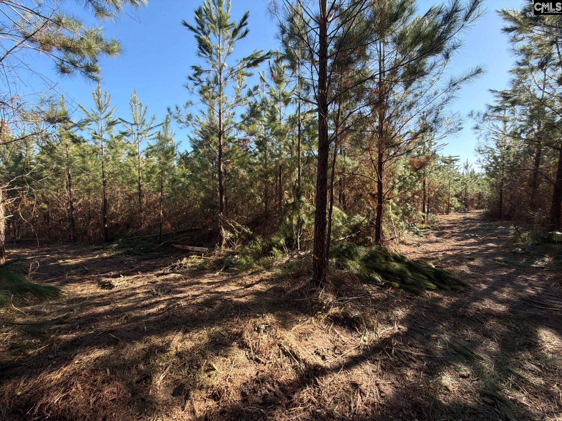 8 Brunson Teal Road, Unit BFF II 8 Patrick, SC 29584 - Photo 8 of 25