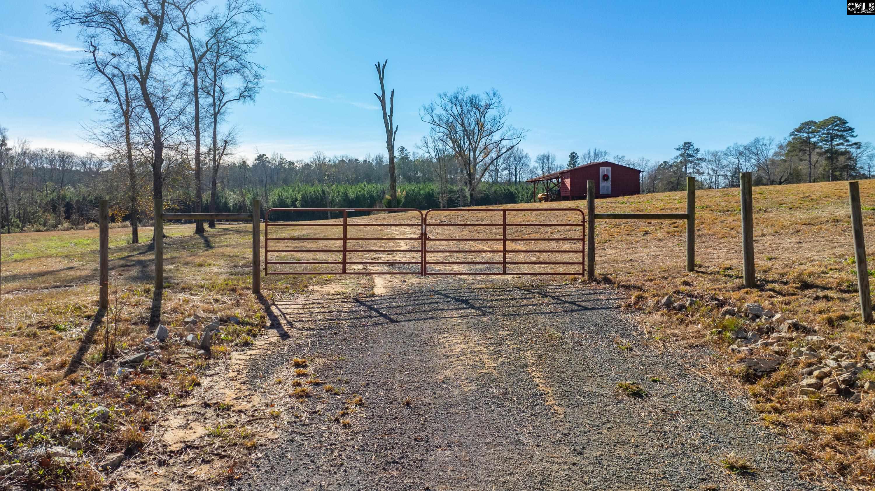 0 Cedar Grove Road Leesville, SC 29070 - Photo 12 of 14