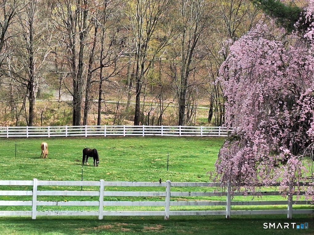 127 Huntingtown Road Newtown, CT 06470 - Photo 31 of 38 Neighboring Horses