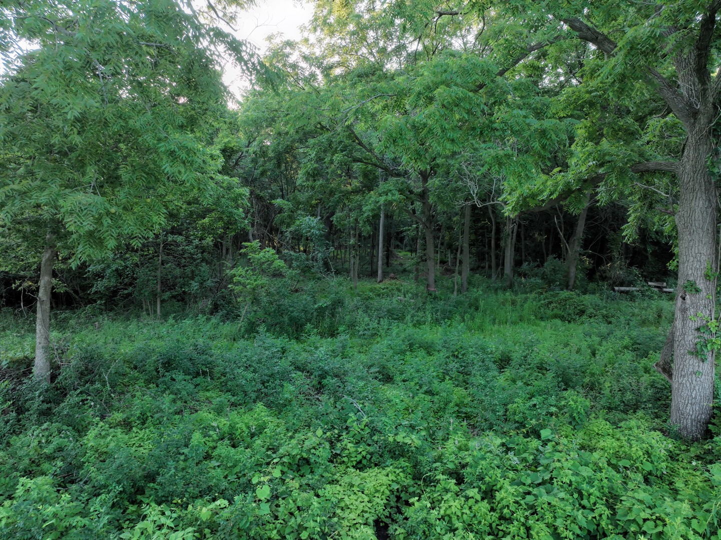 Xx South Bluff Road South Beloit, IL 61080 - Photo 8 of 11 Gallery Image 8