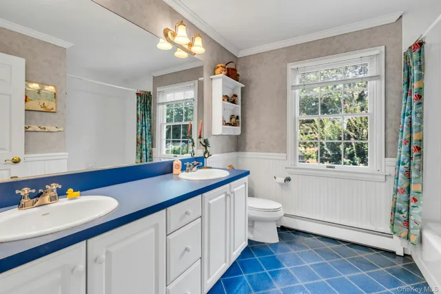 a bathroom with a double vanity sink toilet and a mirror