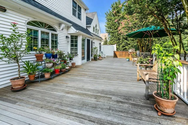 a potted plant sitting on the side of a brick building