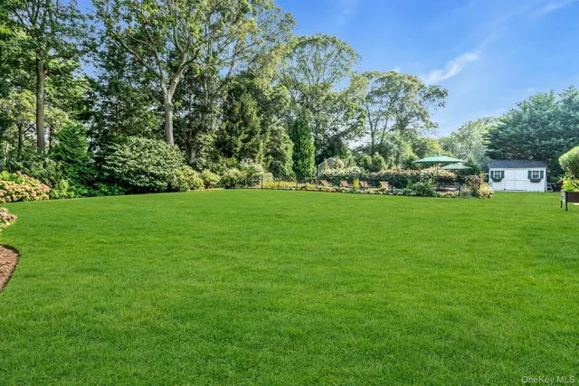 a view of a field of grass and trees