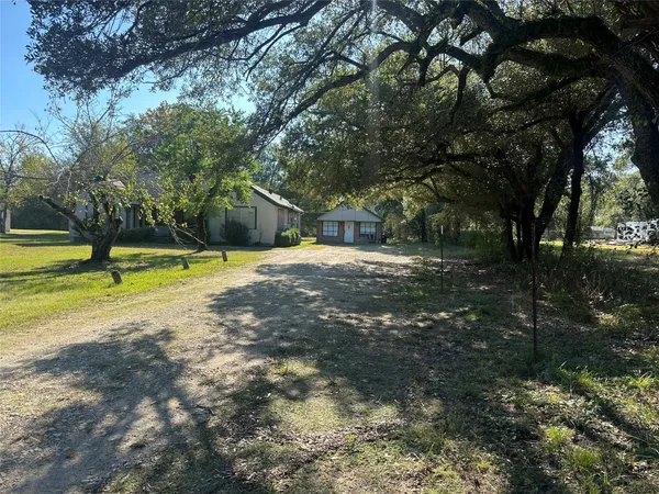a view of a yard with a tree
