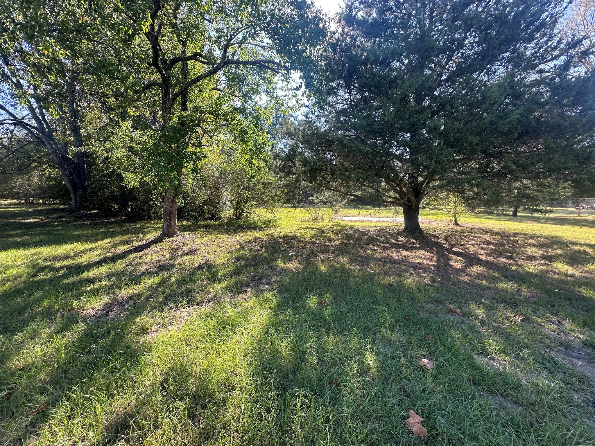 312b Prospect Drive Trinity, TX 75862 - Photo 13 of 23 a view of a yard with trees