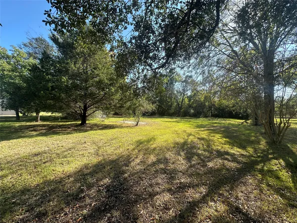 a view of swimming pool with tree s