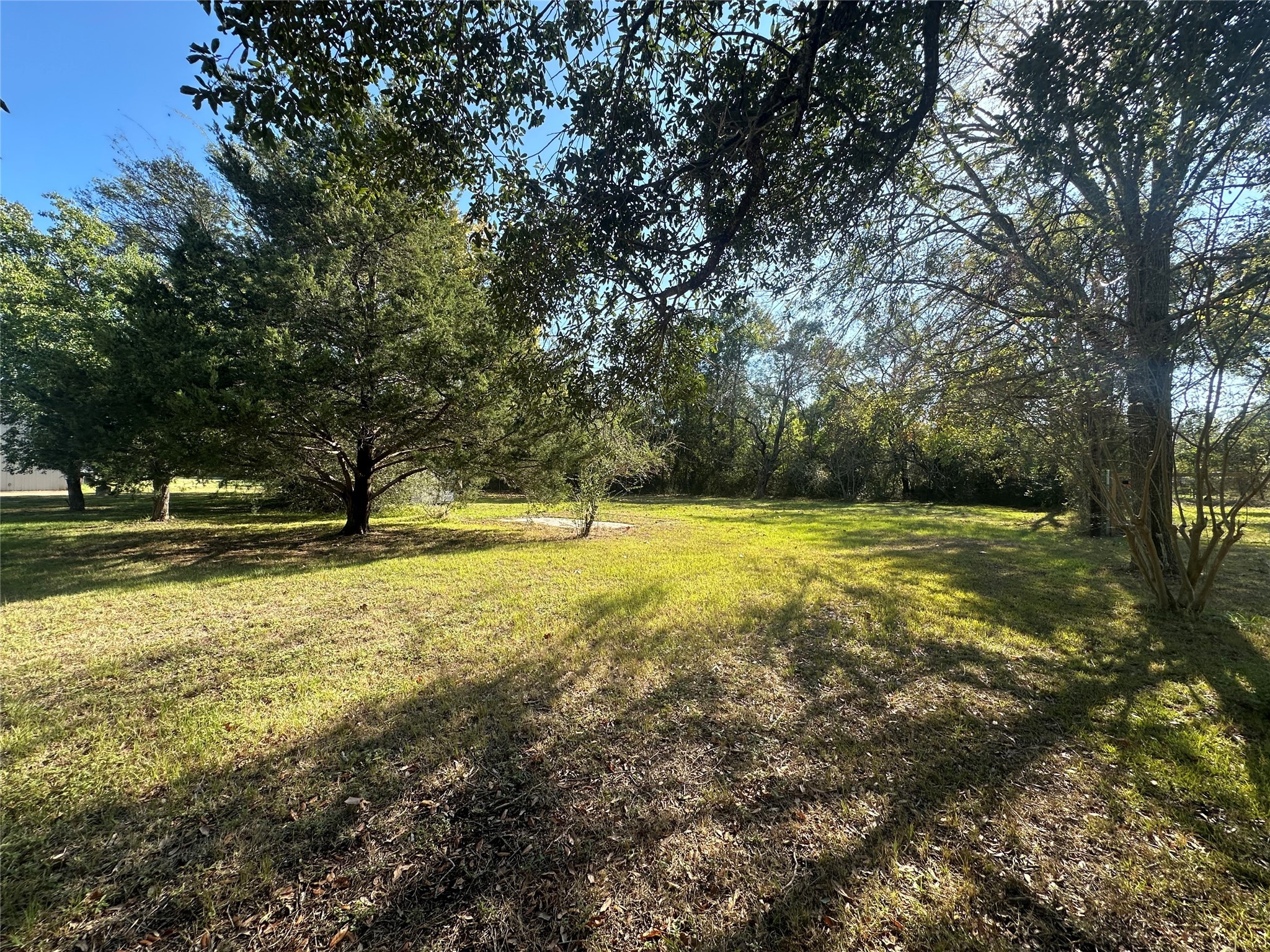 312b Prospect Drive Trinity, TX 75862 - Photo 14 of 23 a view of swimming pool with tree s