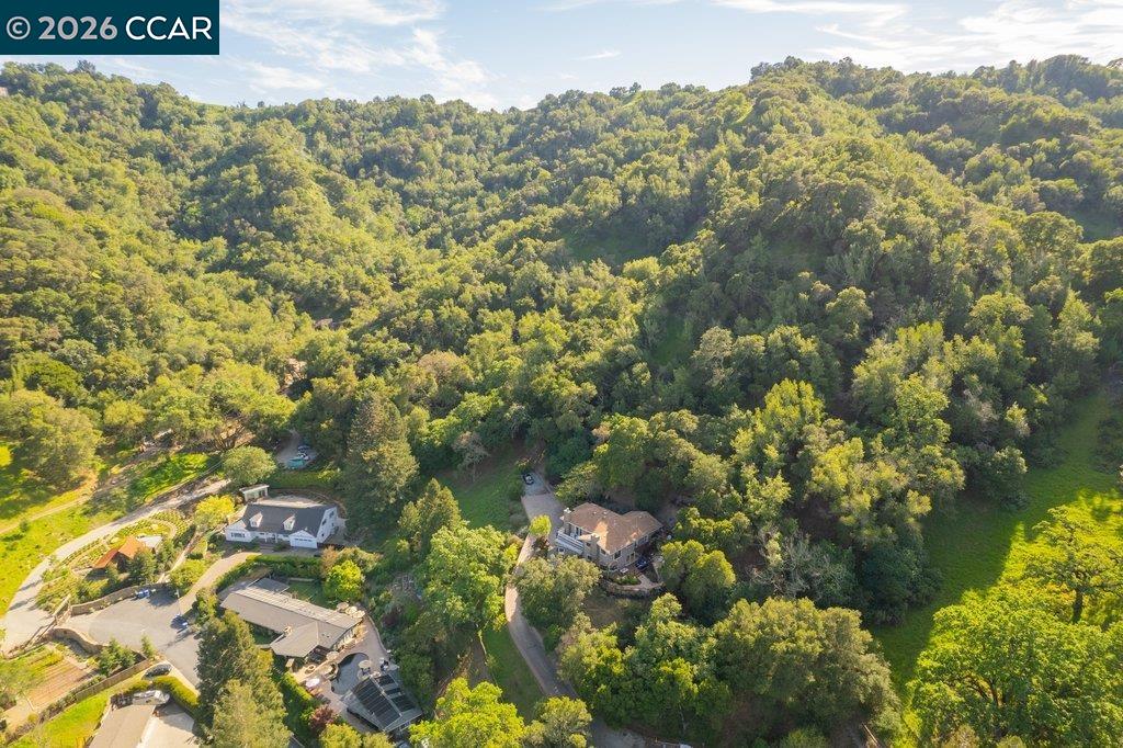 14 Springhill Lane Lafayette, CA 94549 - Photo 45 of 53